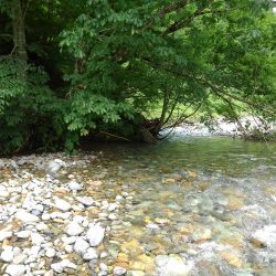 土砂降りの雨に逃げ帰る ～九頭竜川水系～